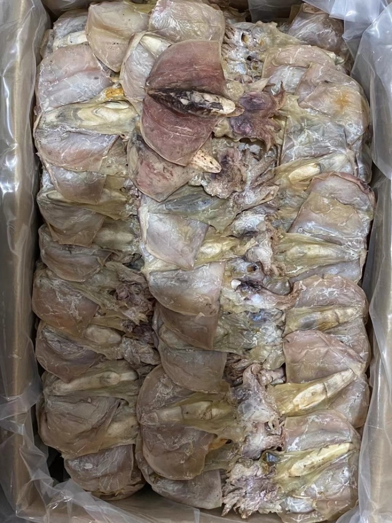 墨鱼干小墨鱼干