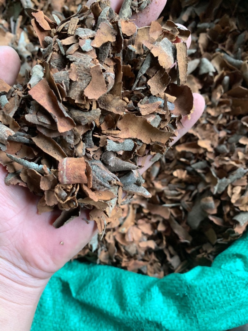 广西手工烟桂刨花