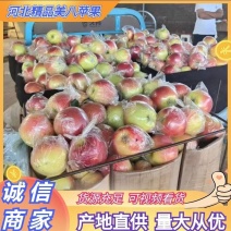 河北精品膜袋美八苹果，80以上，青红色，不面不起沙，
