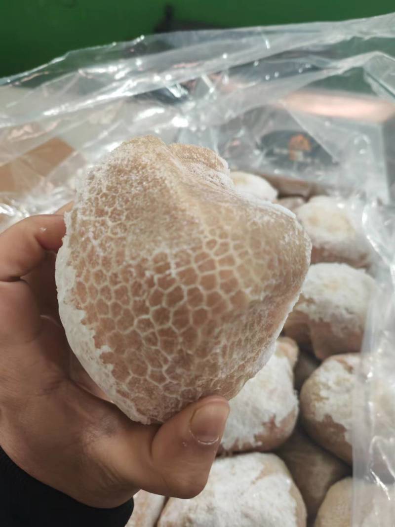清真优质羊净肚，出成高，性价比高，支持全国发货。