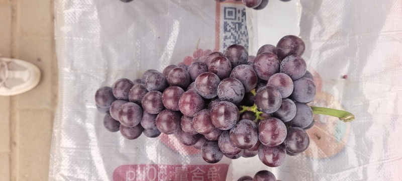 脆甜