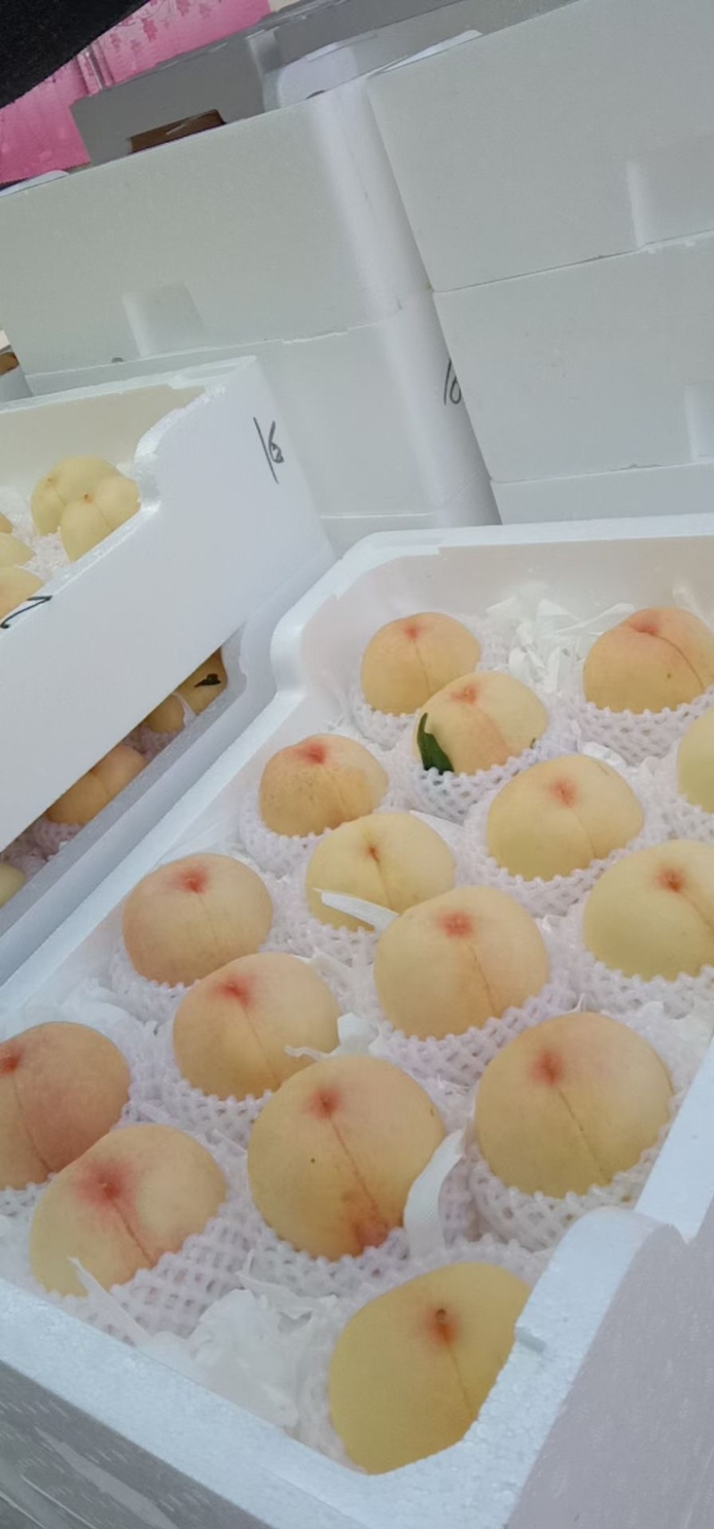 水蜜桃