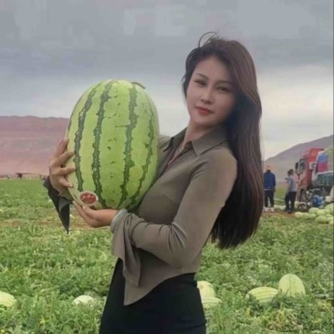 宁夏中卫硒砂瓜,双红壤,甜度高,耐运输,一手过源