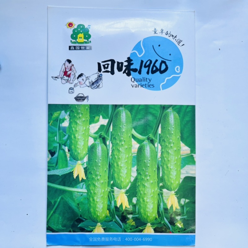 回味1990种子强磁水黄瓜品种口感水果型