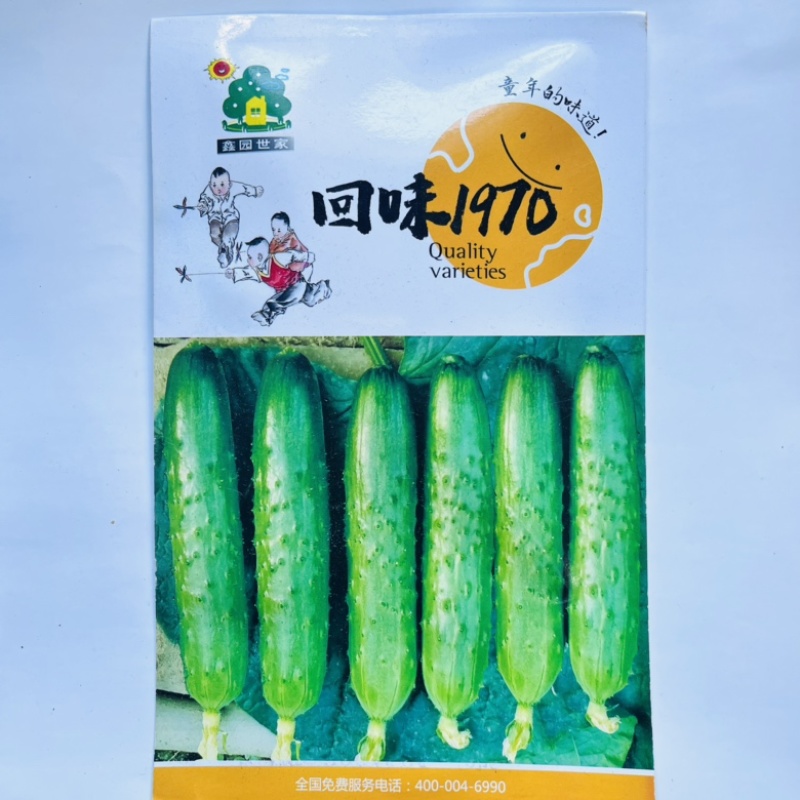 回味1990种子强磁水黄瓜品种口感水果型