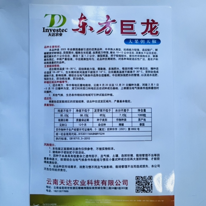 东方巨龙泰系大果小米椒种子，杂交品种中早熟品种种子