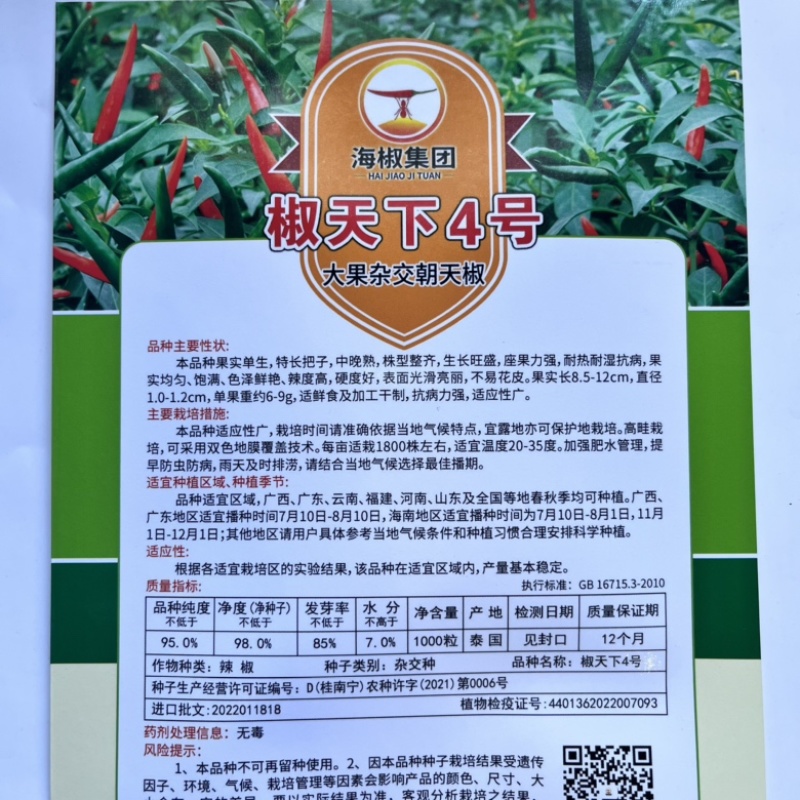 东方巨龙泰系大果小米椒种子，杂交品种中早熟品种种子