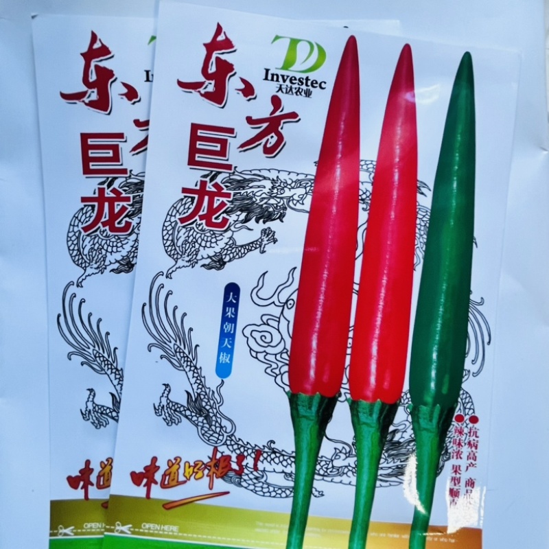 东方巨龙泰系大果小米椒种子，杂交品种中早熟品种种子