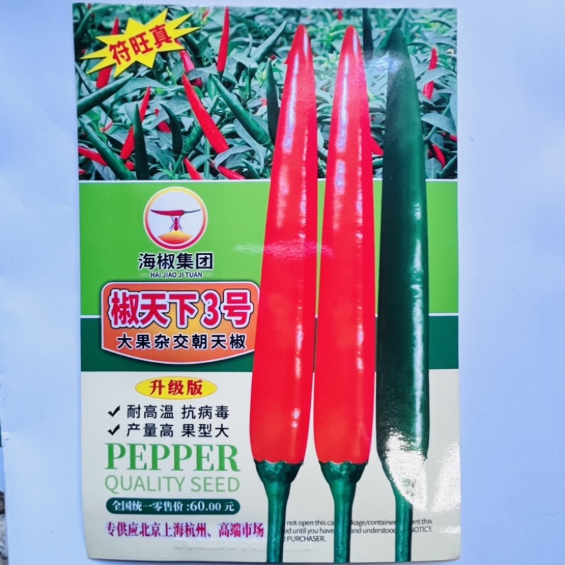 东方巨龙泰系大果小米椒种子，杂交品种中早熟品种种子