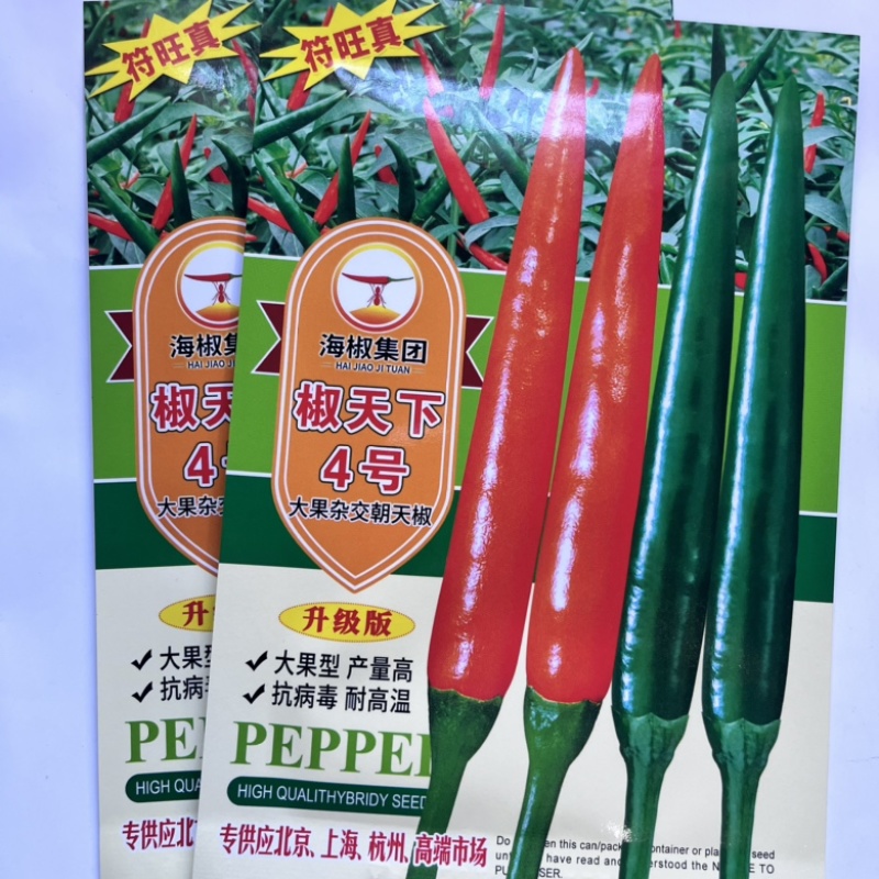 东方巨龙泰系大果小米椒种子，杂交品种中早熟品种种子