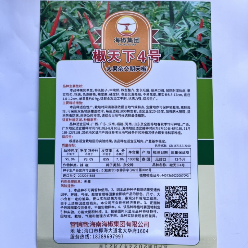 东方巨龙泰系大果小米椒种子，杂交品种中早熟品种种子