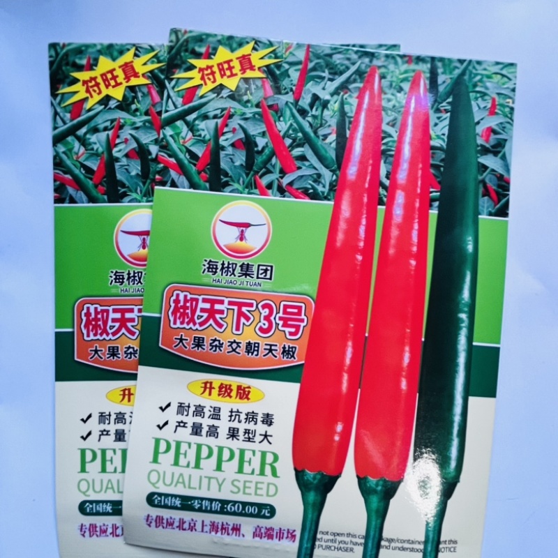 东方巨龙泰系大果小米椒种子，杂交品种中早熟品种种子