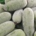 【推荐】白毛节瓜1.5至3斤基地直供质量保证，大基地种植