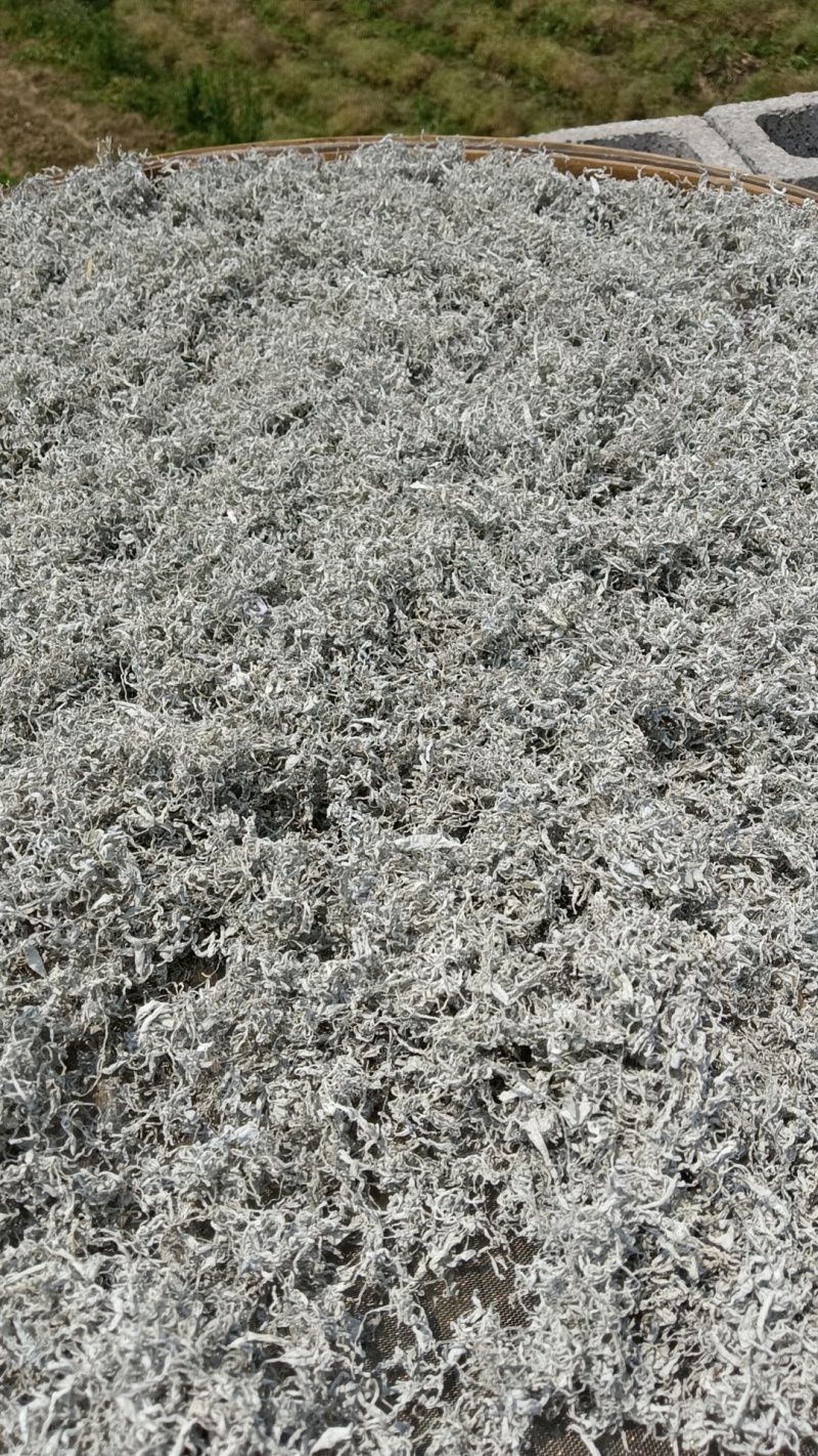 莓茶