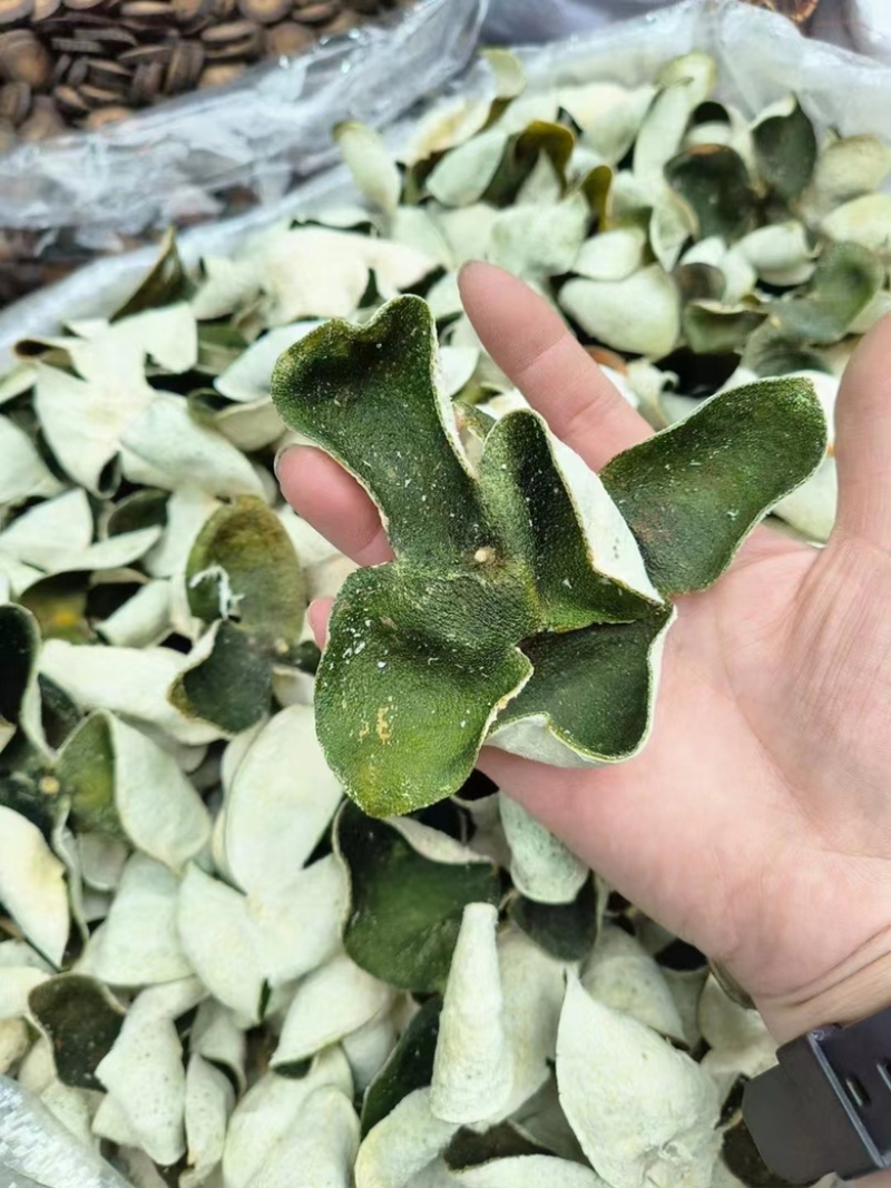 陈皮三花陈皮青陈皮展会地摊电商批发陈皮干