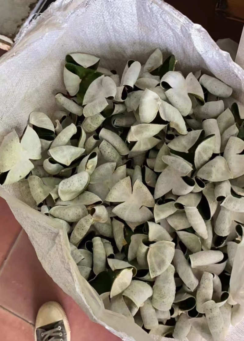 陈皮三花陈皮青陈皮展会地摊电商批发陈皮干