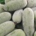 【推荐】白毛节瓜1.5至3斤基地直供质量保证，大基地种植