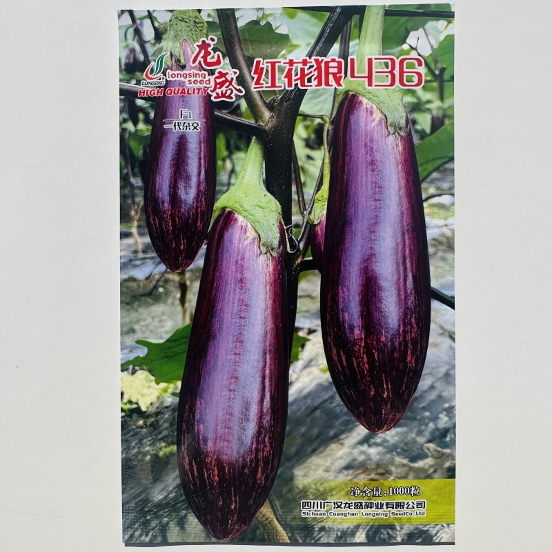 龙盛彩长茄种子红花狼436茄子种子春秋两季基地茄子种籽