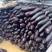 早熟长茄种子龙盛川早9329黑紫色烧烤茄种子果肉淡绿棒茄