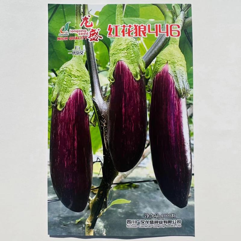 龙盛高品质茄子种籽红花狼446茄子种子早熟春秋竹丝茄种子