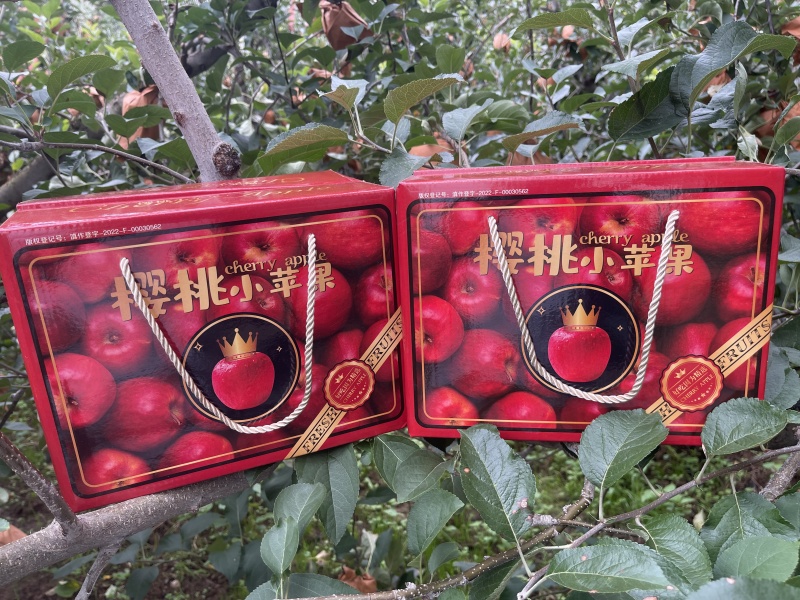 云南昭通冰糖心丑苹果樱桃小苹果整车待发落地配