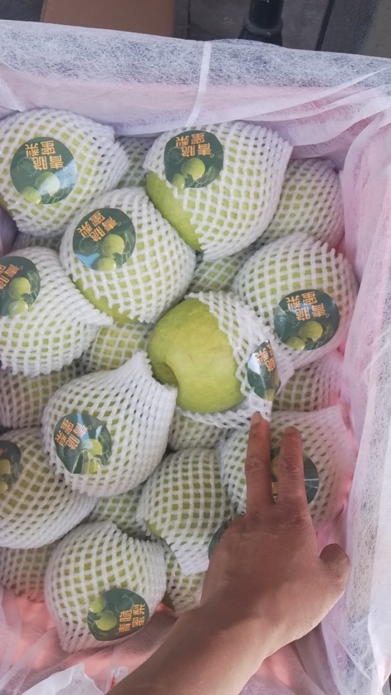 玉露香梨