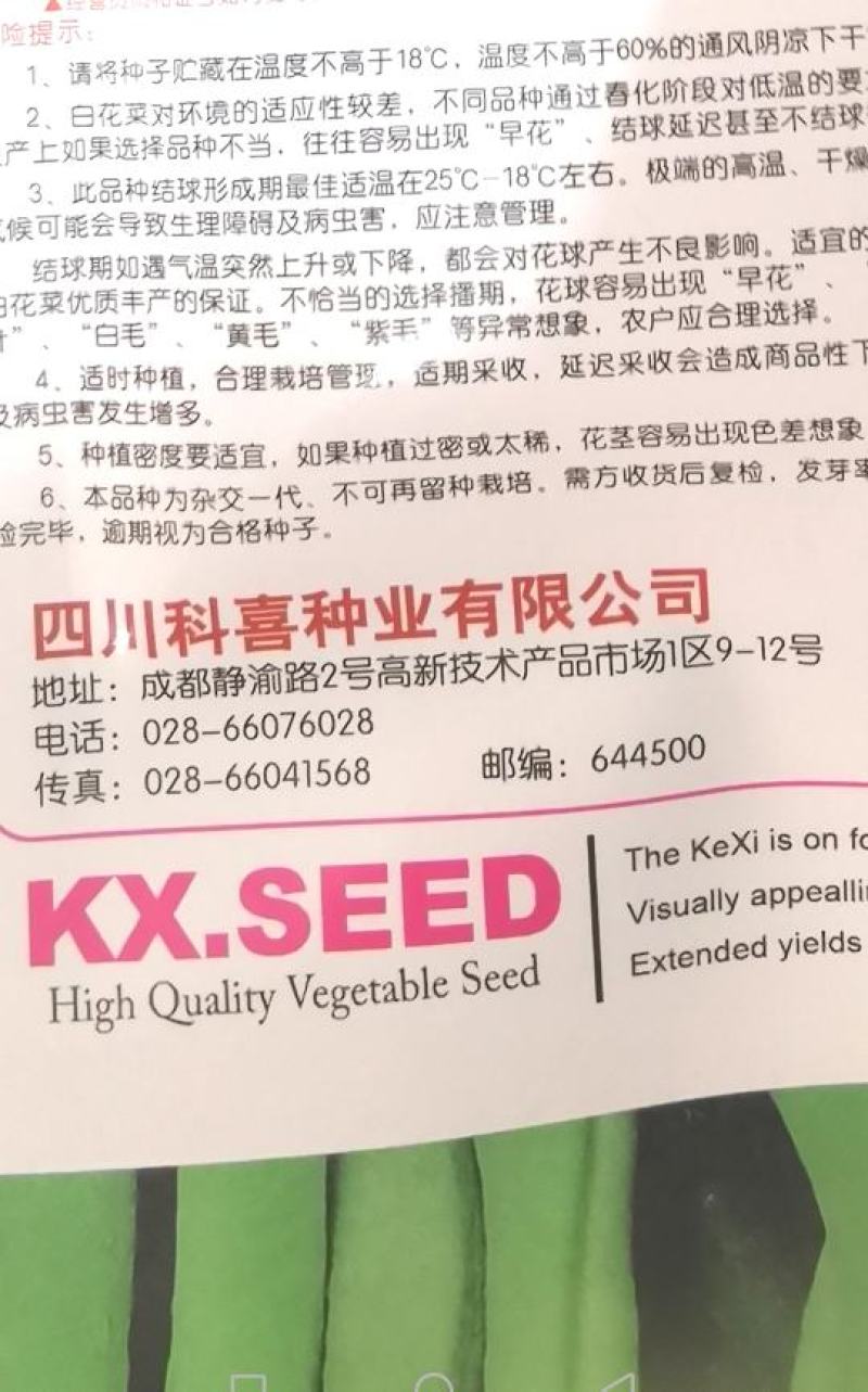 花菜种子喜松110天晚熟青梗小米粒花球大颜色雪白靓