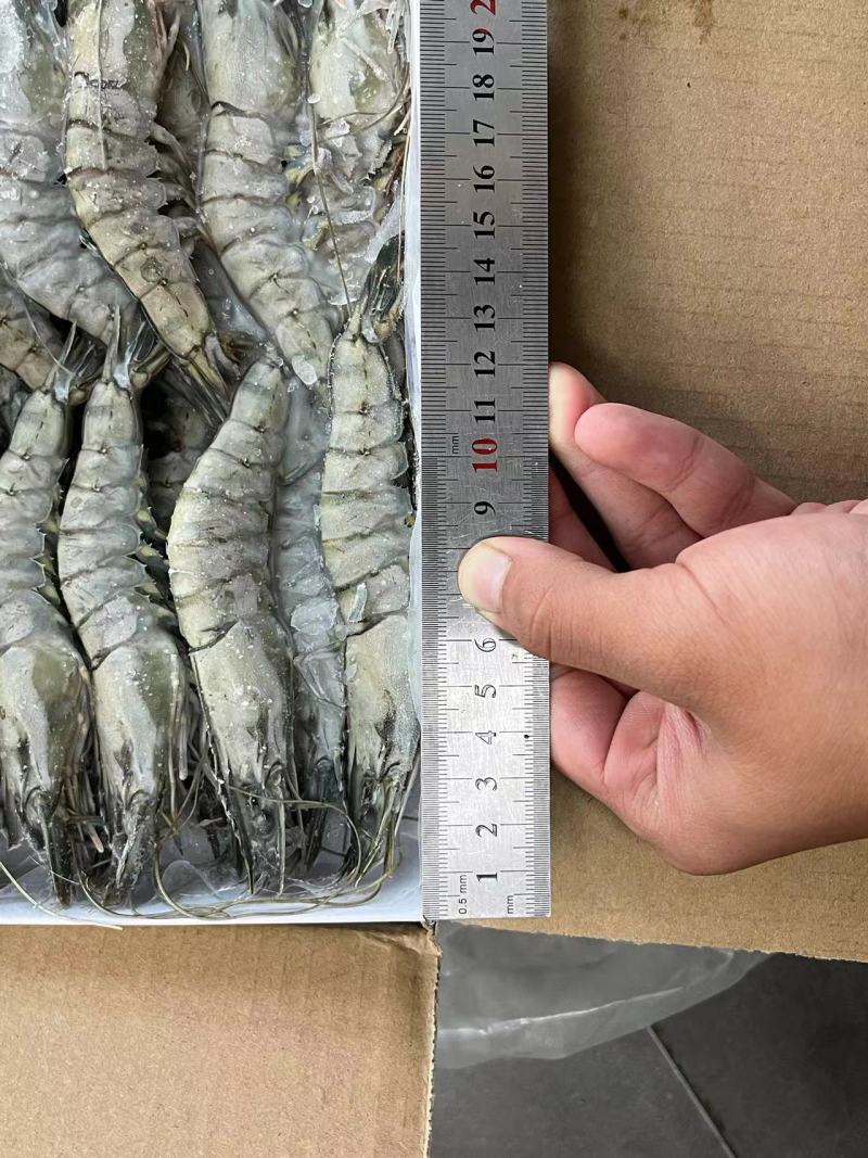 黑虎虾，价格便宜，货源充足，规格齐全，欢迎选购咨询