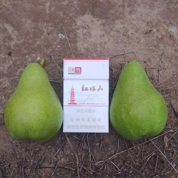 水果，香蕉梨上市中