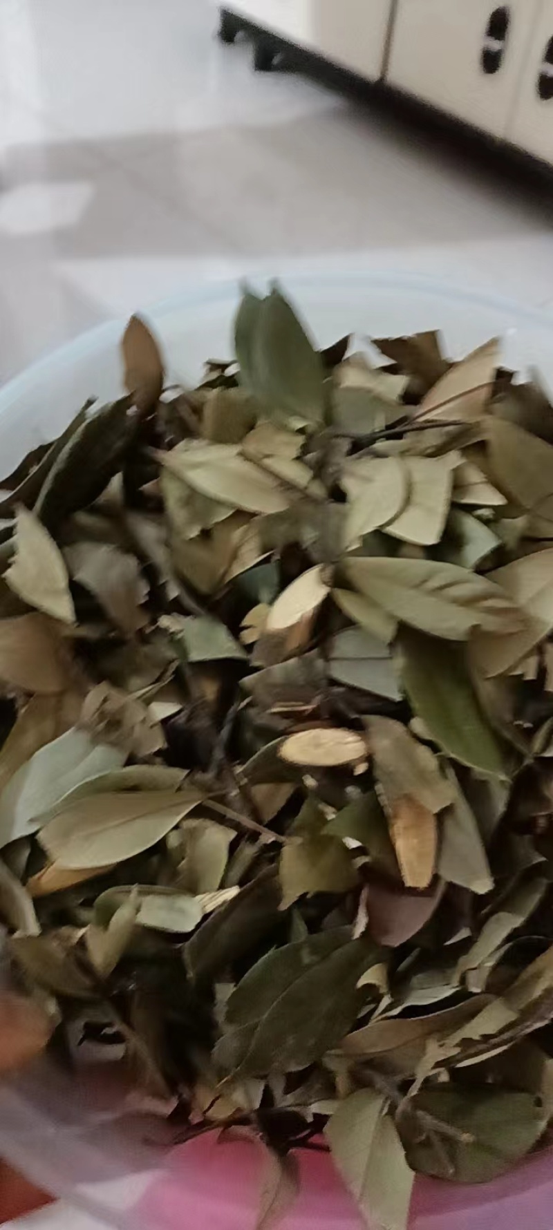 【推荐】四川老鹰茶供应保健茶茶叶火锅店专用