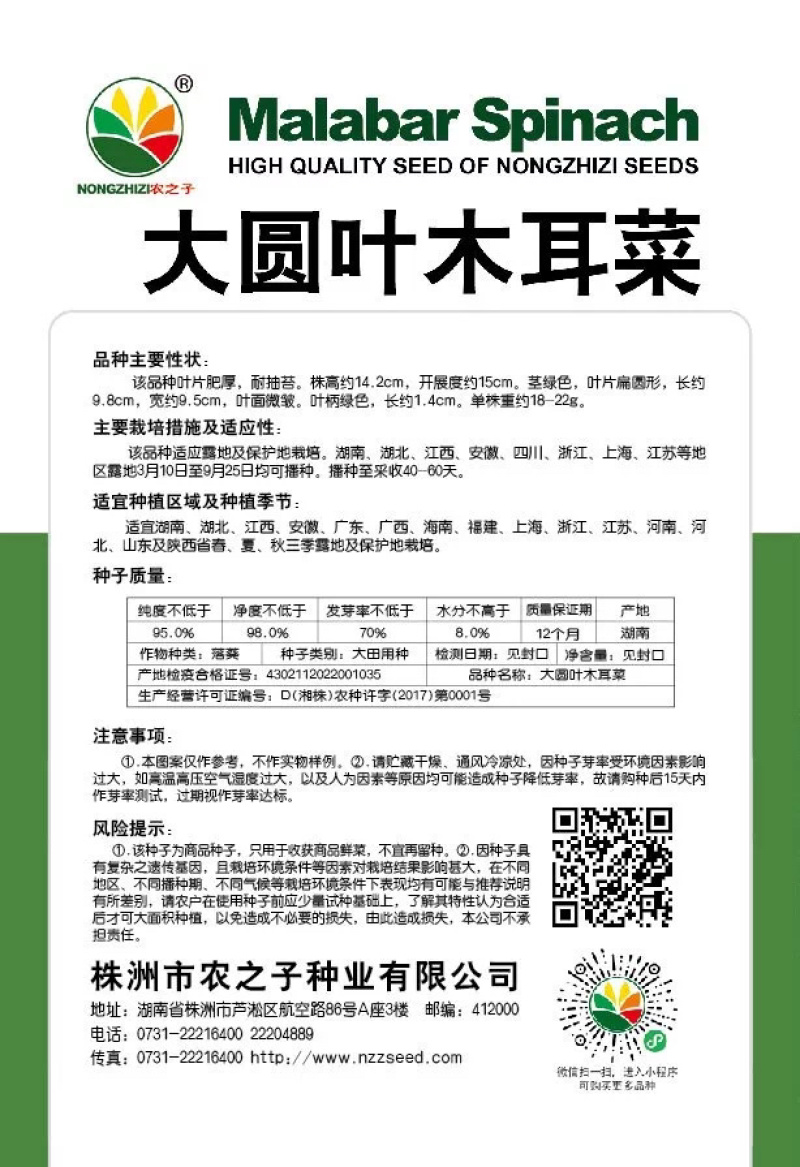 大圆叶大叶木耳菜农之子高产基地春夏秋三季可播营养丰富