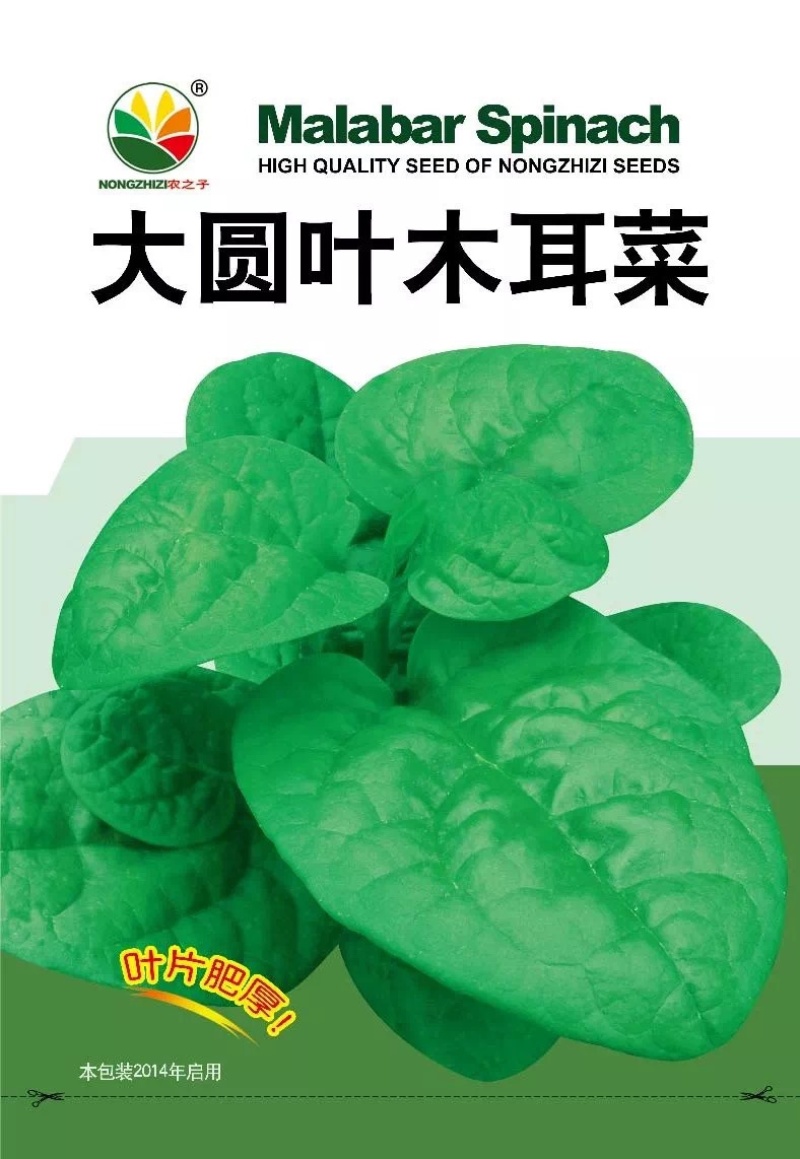 大圆叶大叶木耳菜农之子高产基地春夏秋三季可播营养丰富