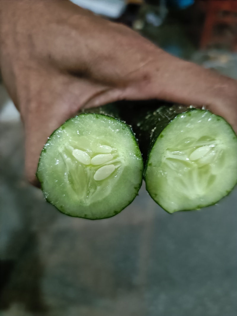 刺黄瓜