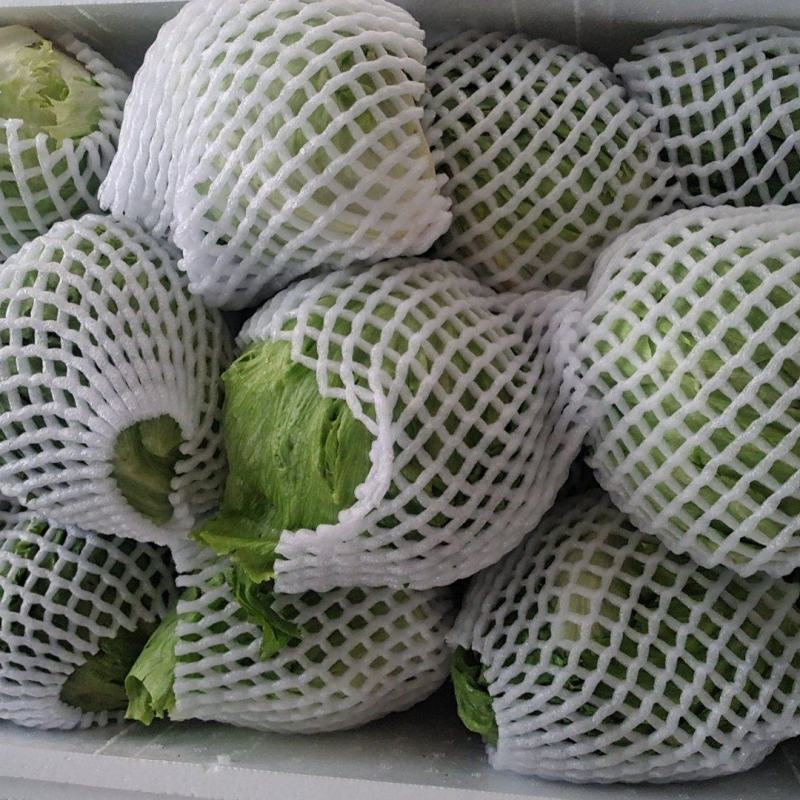 球生菜，精品球生菜大量上市，一手货源，产地直供，欢迎洽谈