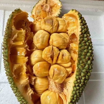 海南榴莲蜜，有想法的联系