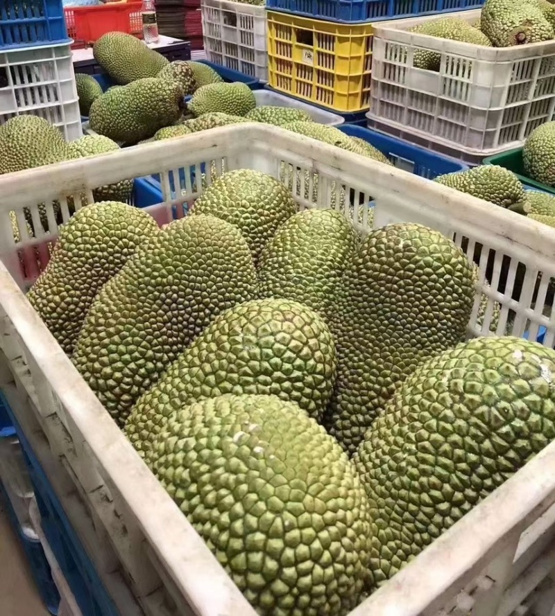 海南榴莲蜜，有想法的联系