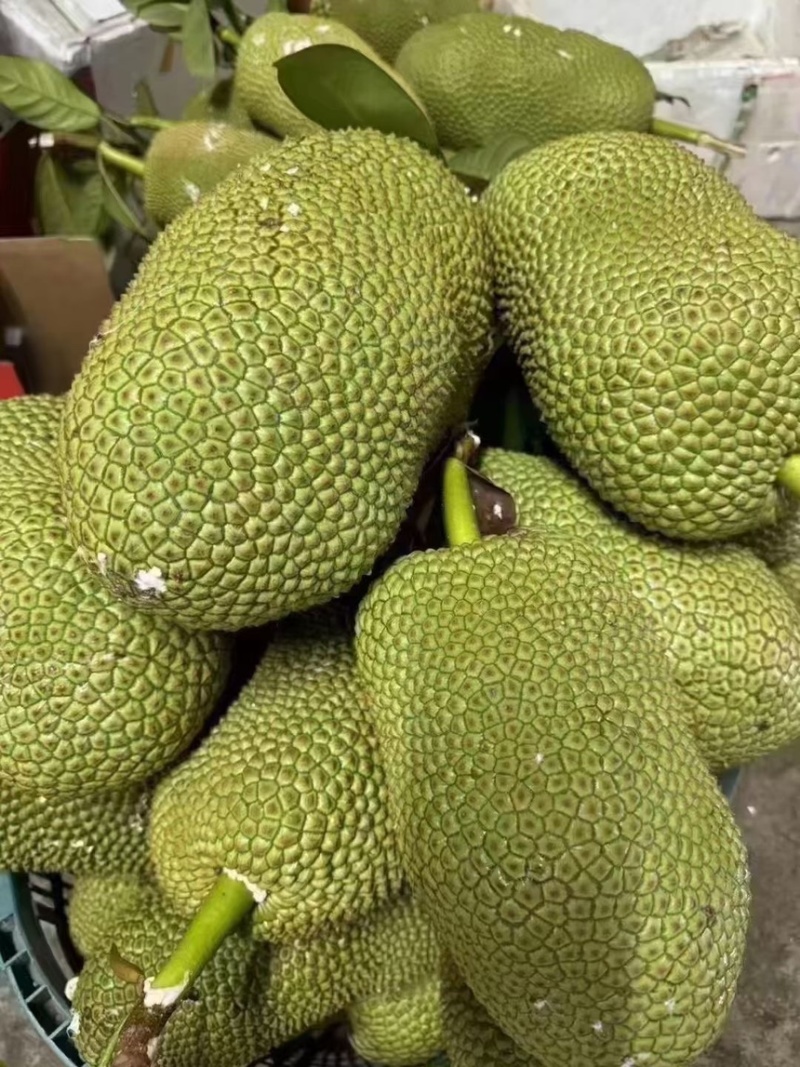 海南榴莲蜜，有想法的联系