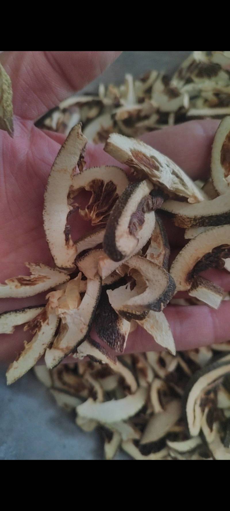 枳壳产地直销有大货