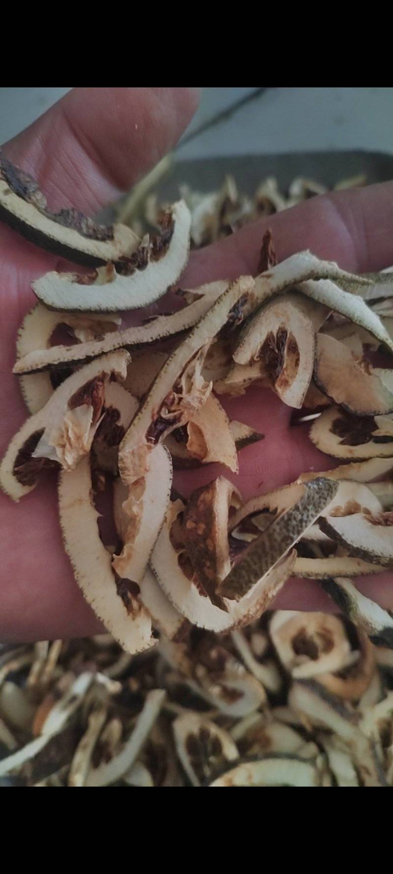 枳壳产地直销有大货