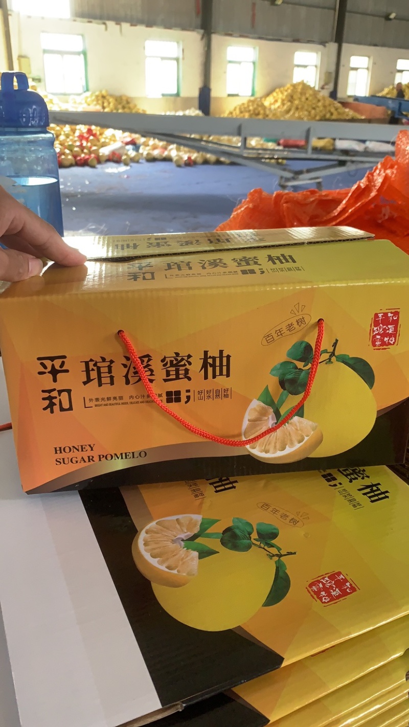 福建平和琯溪蜜柚，对接市场，团购，平台，电商代发