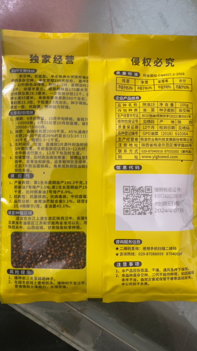 陕油19/甘杂5号油菜种子高油抗冻耐旱