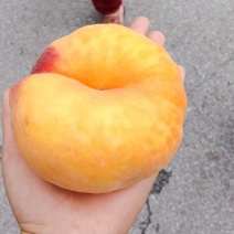 毛蟠桃