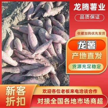 红薯龙薯视频看货质量保证对接批发商超烤薯店