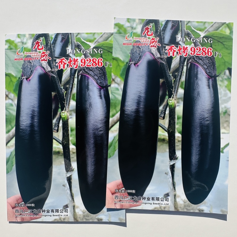 龙盛烧烤茄种子香烤9286茄子种子黑紫油亮棒茄种果肉淡绿