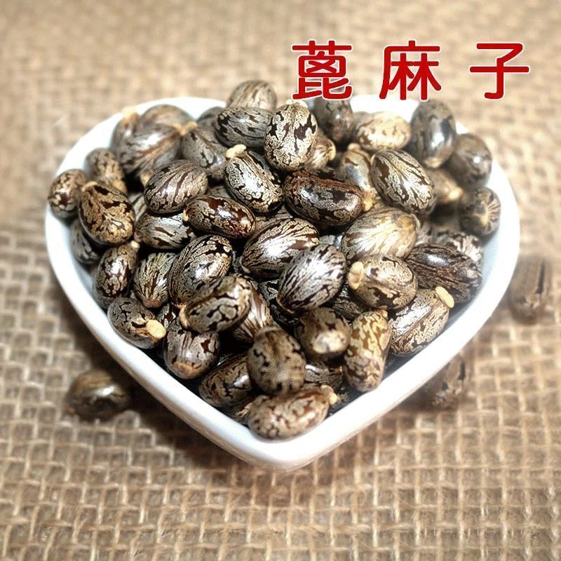 新货野生蓖麻子蓖麻籽500克包邮红大麻子中药材蓖麻仁蓖麻