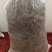 【莓茶】新茶上市品质好茶真材实料品质保证好喝不贵