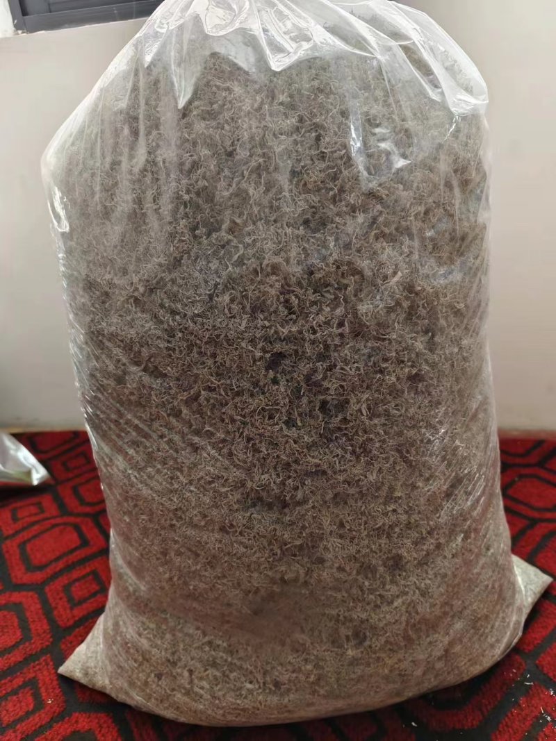 【莓茶】新茶上市品质好茶真材实料品质保证好喝不贵