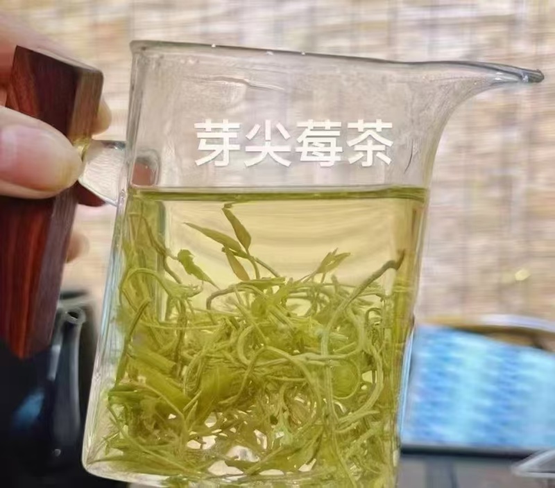 【莓茶】新茶上市品质好茶真材实料品质保证好喝不贵