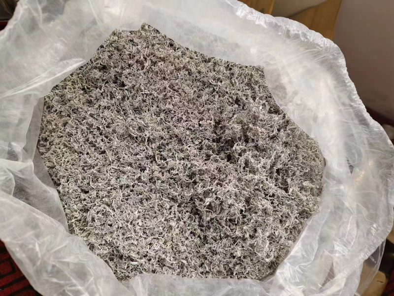 【莓茶】新茶上市品质好茶真材实料品质保证好喝不贵