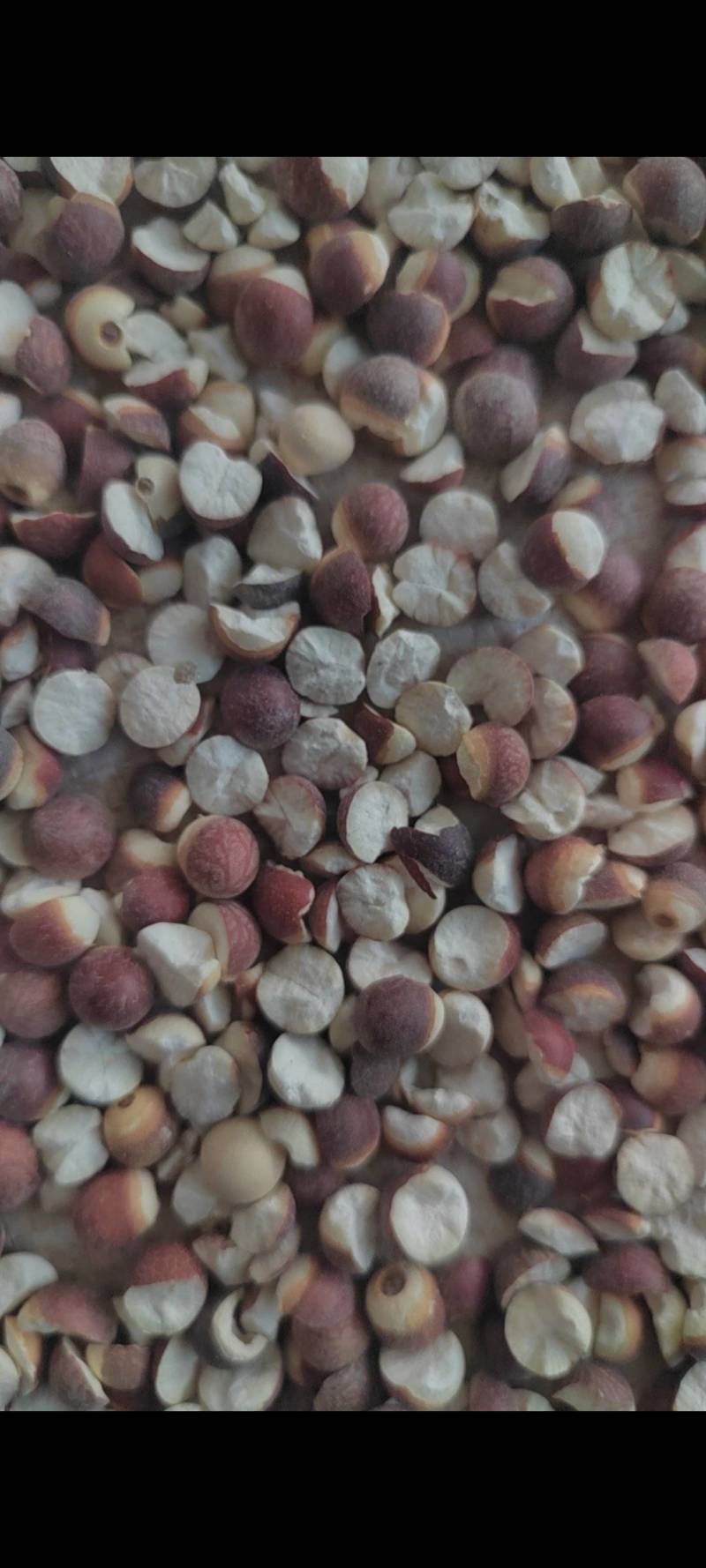 芡实有各种规格的电话优惠